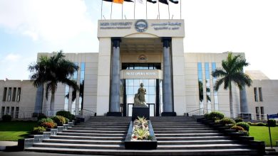 جامعة مصر للعلوم والتكنولوجيا